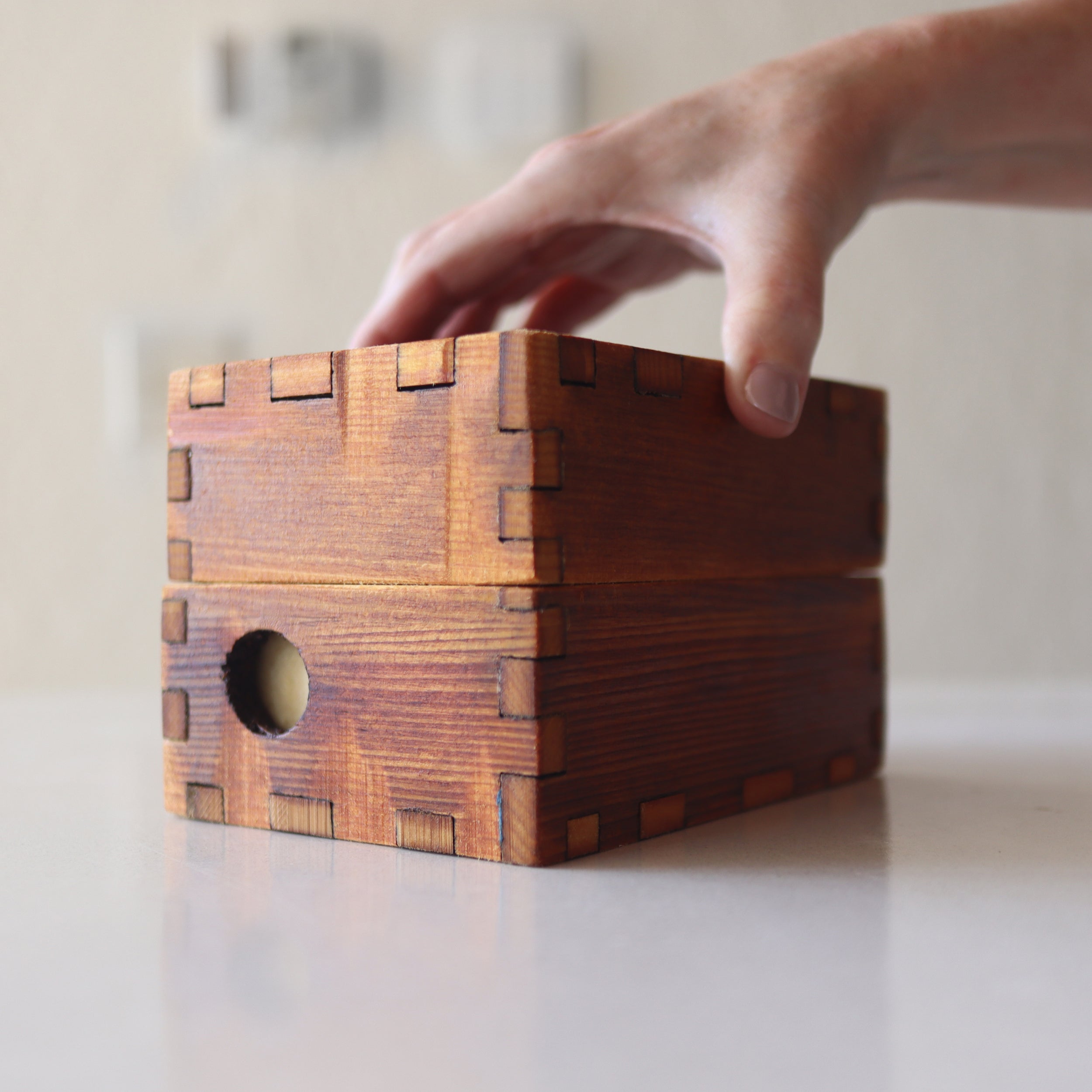 365 Card Boxes